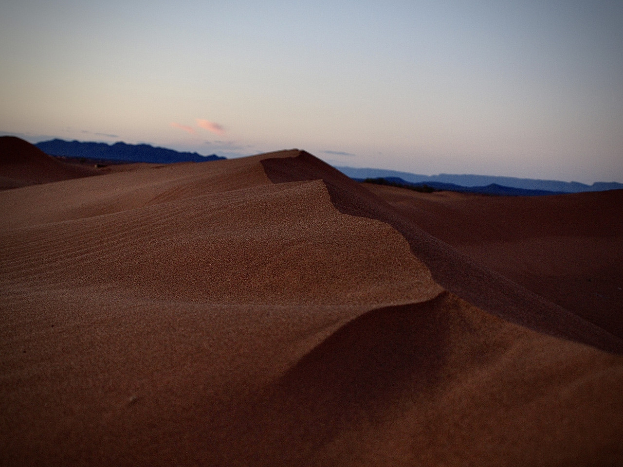El palmeral de Fezouata : Tamegroute y la Zaouia Naciriya - El Valle del Drâa, la gran arteria del sur de Marruecos (32)