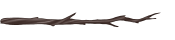 Divider-Branch3.png Divider-Branch3.png