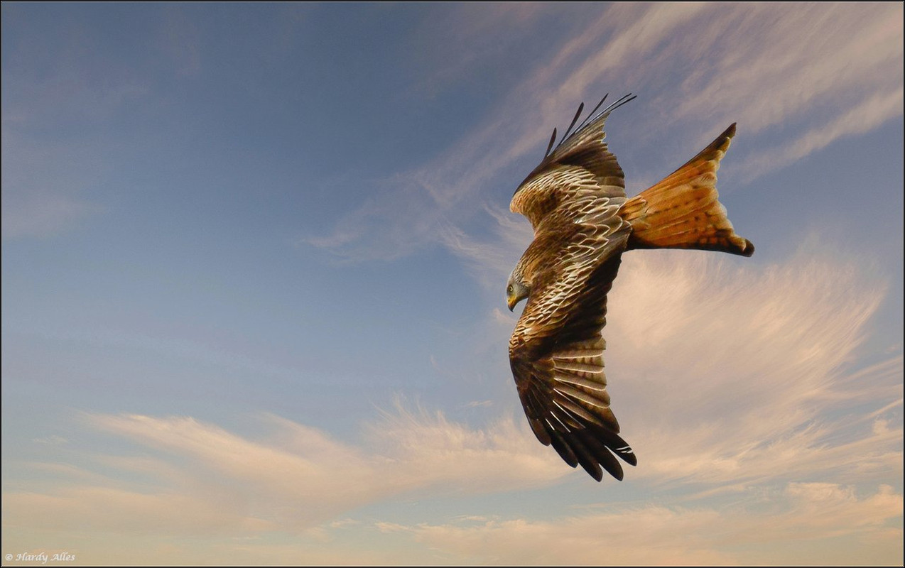 XT4B5265 2021 Lydia  LR ERWZ FB 2022 Nachlesen LR ERWZ FB