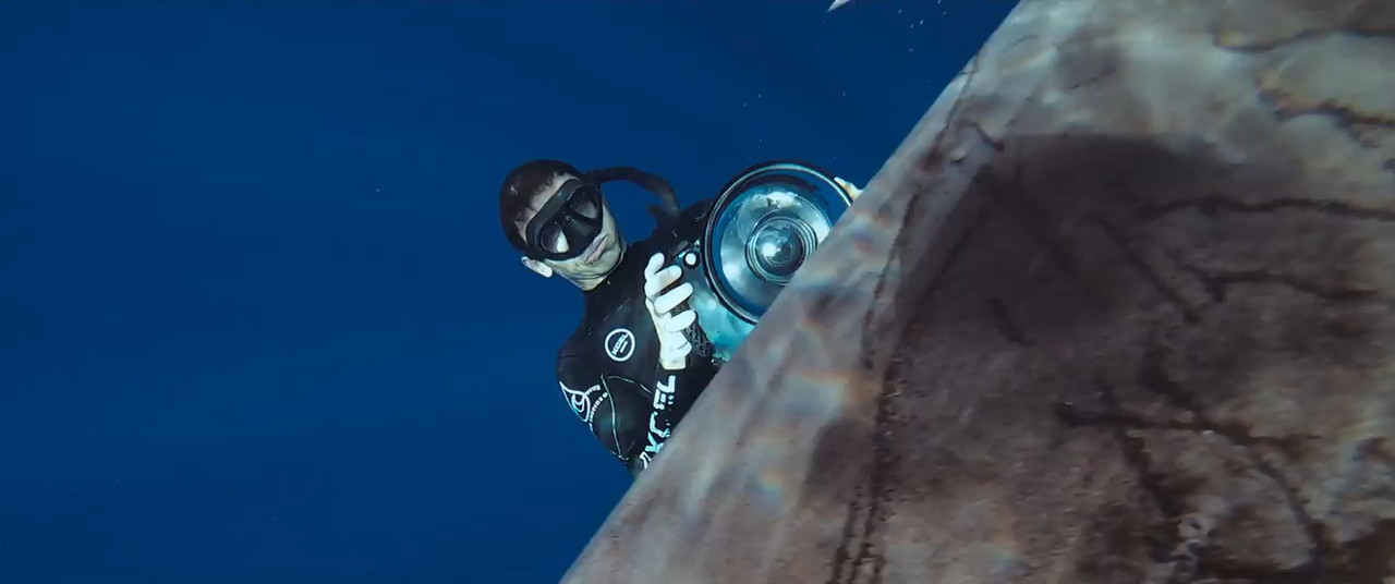 Shark Whisperer 2025 WebRip [Hindi + English] 480p 720p ESub Screenshot