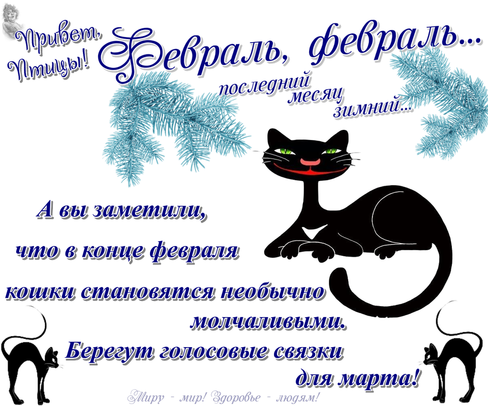 https://i.postimg.cc/C1FhNBXm/25-02.png