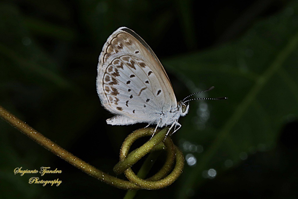 202C10C6-EE39-4584-A16F-AF2CADBAA633