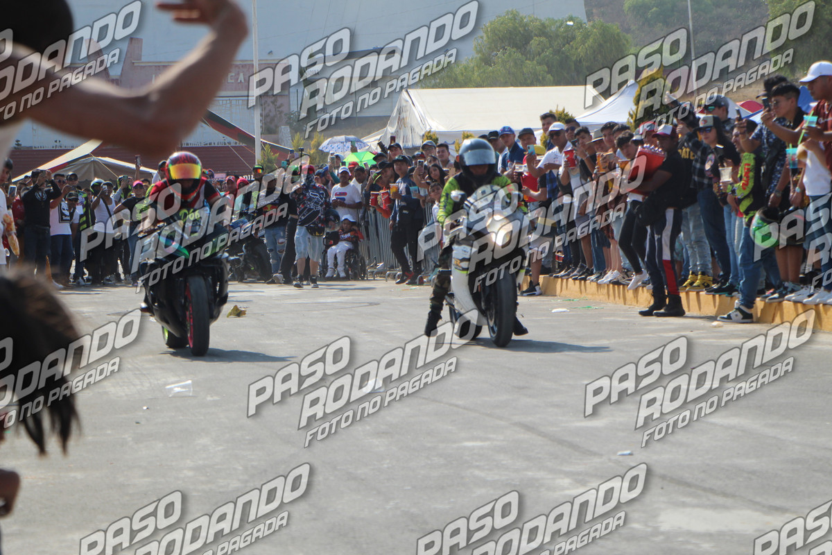 IMG 0317 wm 966681 400000006 watermarked — Postimages