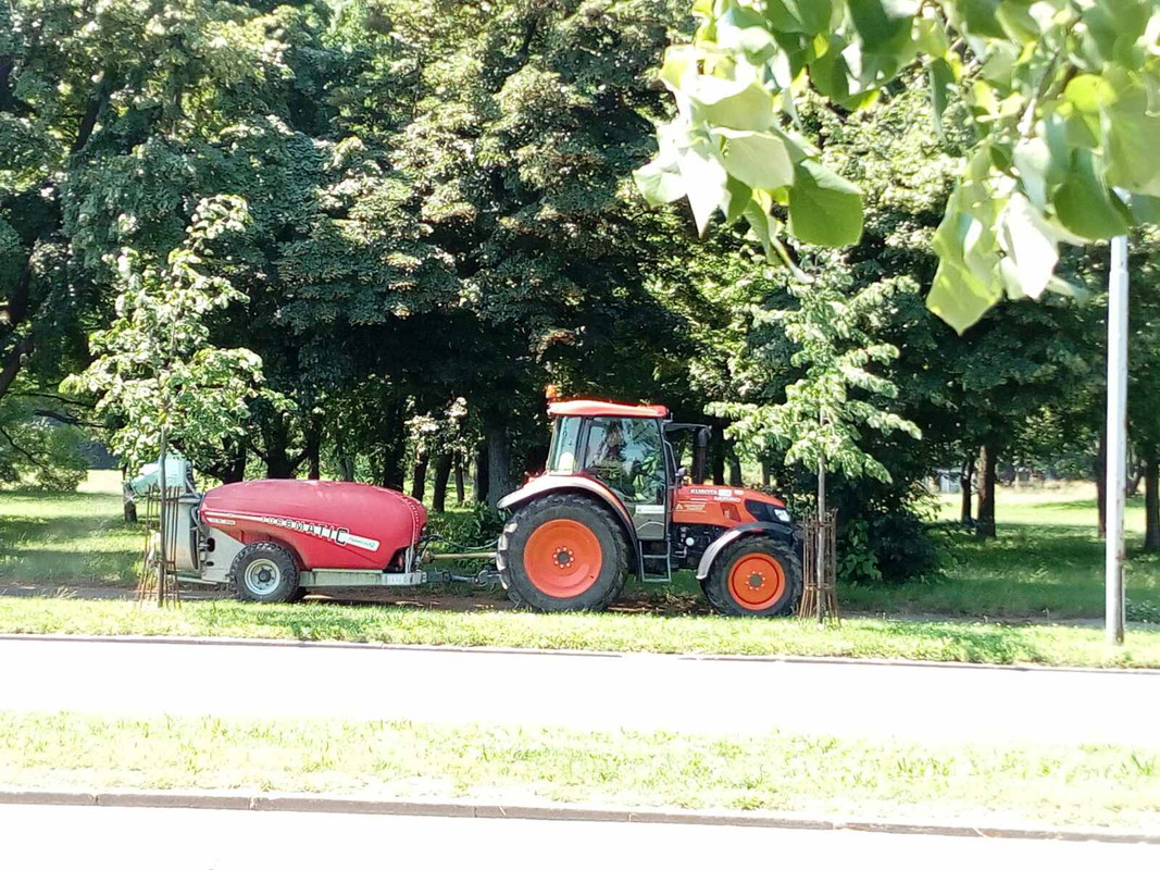 zelenilo01-2020-06-29-00-54-04.jpg