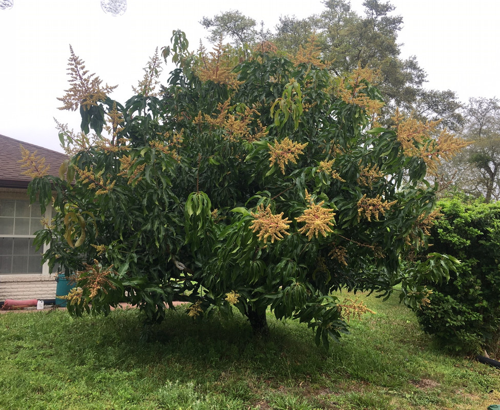 88285DB5-CB0F-49CF-8022-5C45A4EF27A5