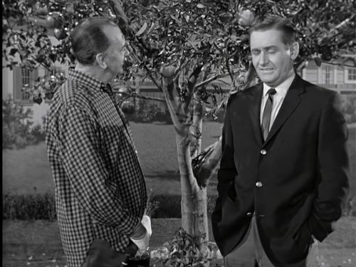 MV5BMTY4MTY4NTg3Nl5BMl5BanBnXkFtZTgwNTk2NzM2MjE@._V1_