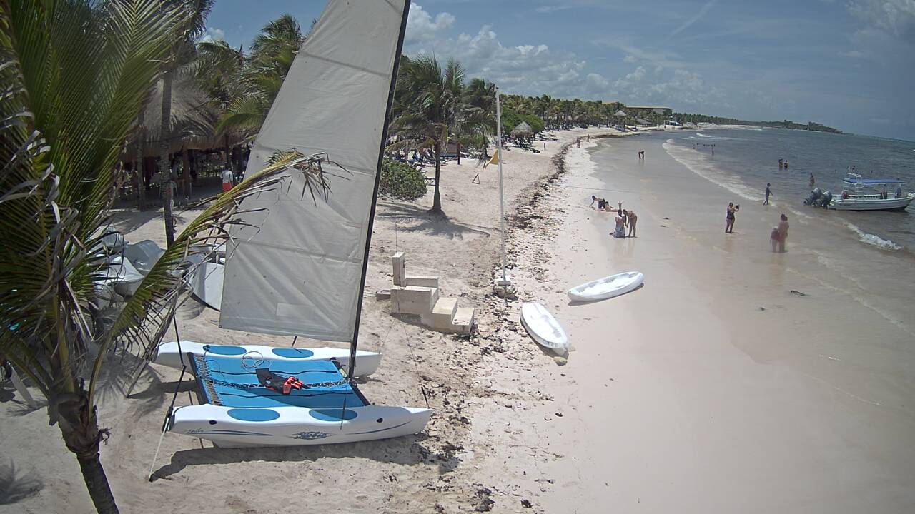 Bienvenidas y despedidas: Foro de Riviera Maya - Foro Riviera Maya y Caribe Mexicano