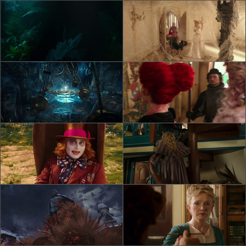 Alice Through the Looking Glass (2016) Dual Audio [Hindi - English] Full Movie BluRay ESub screenshot