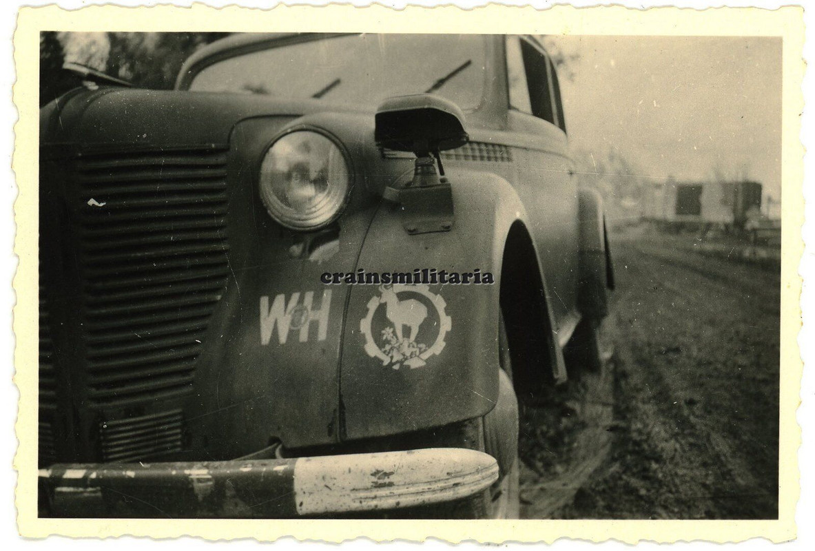 Orig. Foto Opel Kadett Pkw mit Gebirgsjäger Wappen Truppenkennzeichen
