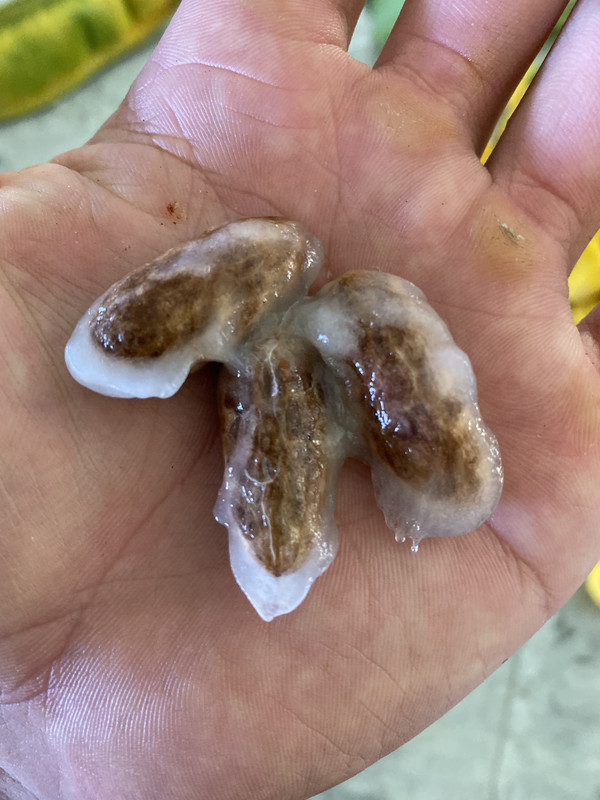 18539002-B928-4F6C-A677-6330AC84EB18