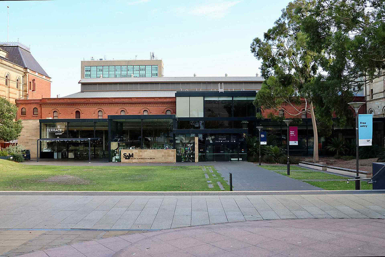 South Australian Musuem - Wikipedia