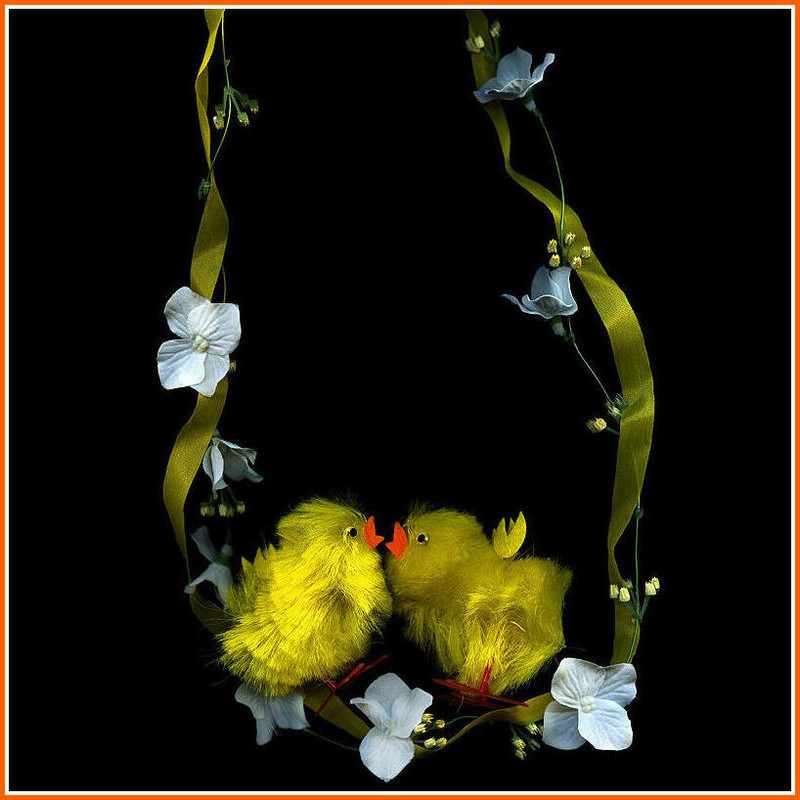 158635421677741294 (13)