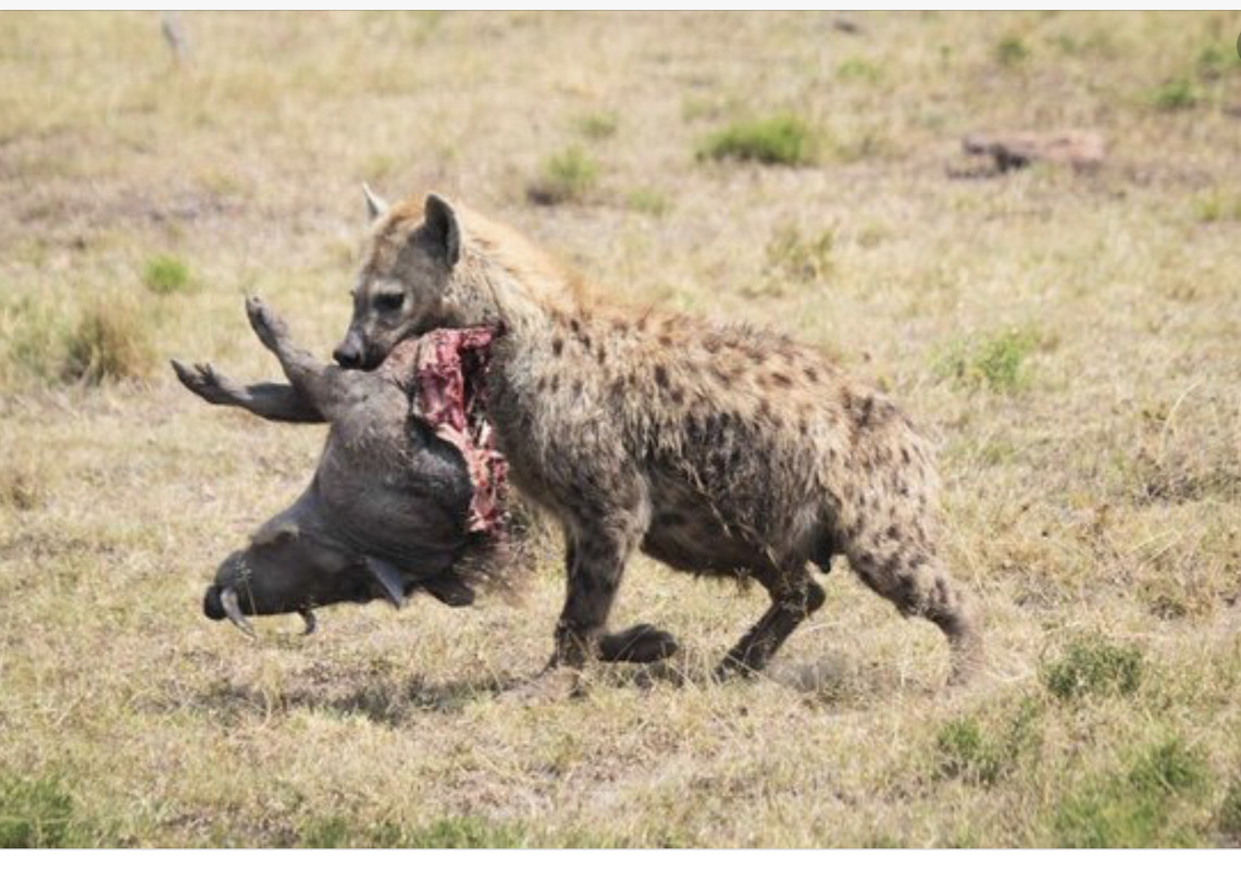 69A84B11-41AE-43DE-A1C7-CB9F6F397083