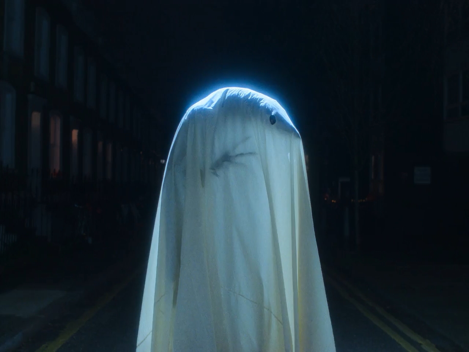 The Thing with Feathers 2025 WebRip [Hindi + English] 480p 720p ESub Screenshot