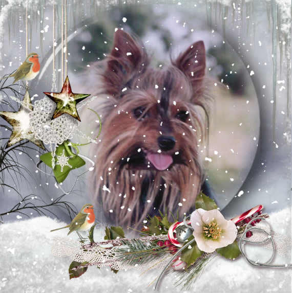 ZZZZZZZZ NOEL Voyou 3