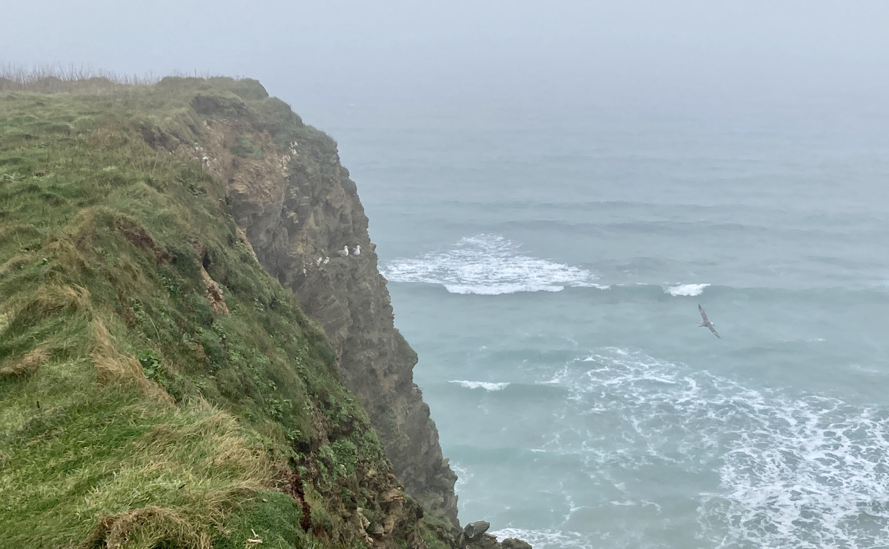 25005355-9730-4987-AC3B-0BFAAE6449E6