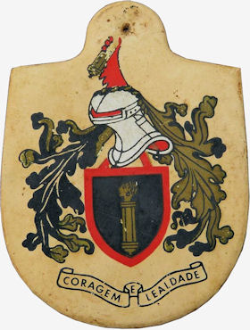 QG-CTIG