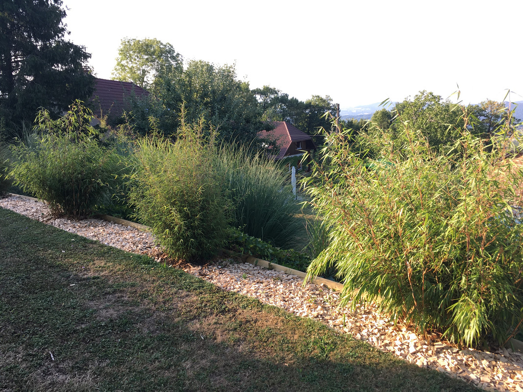 C68FFA39-8111-4298-BCE2-C557754C97A6