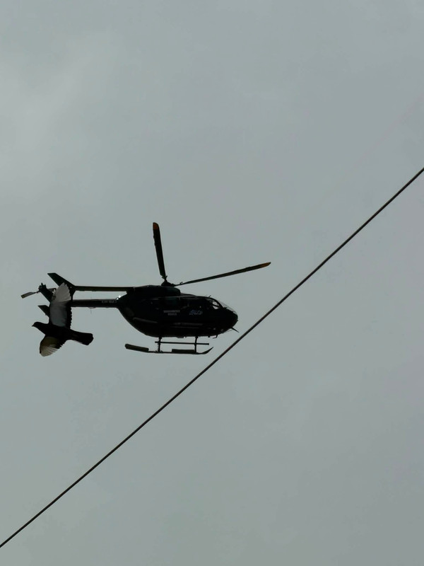 769345448-1078663774598820-6860370501847781520-n