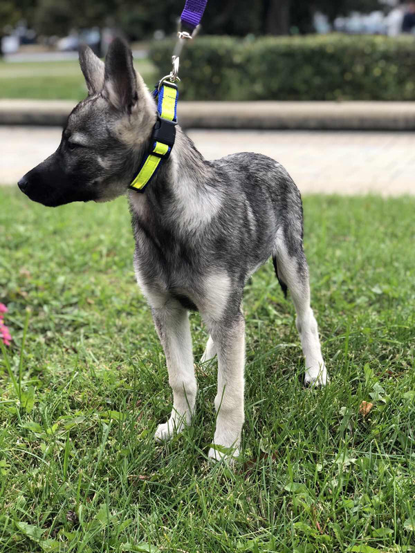 9F9A5C6F-4C04-4E95-BD92-3B18B6C6480F