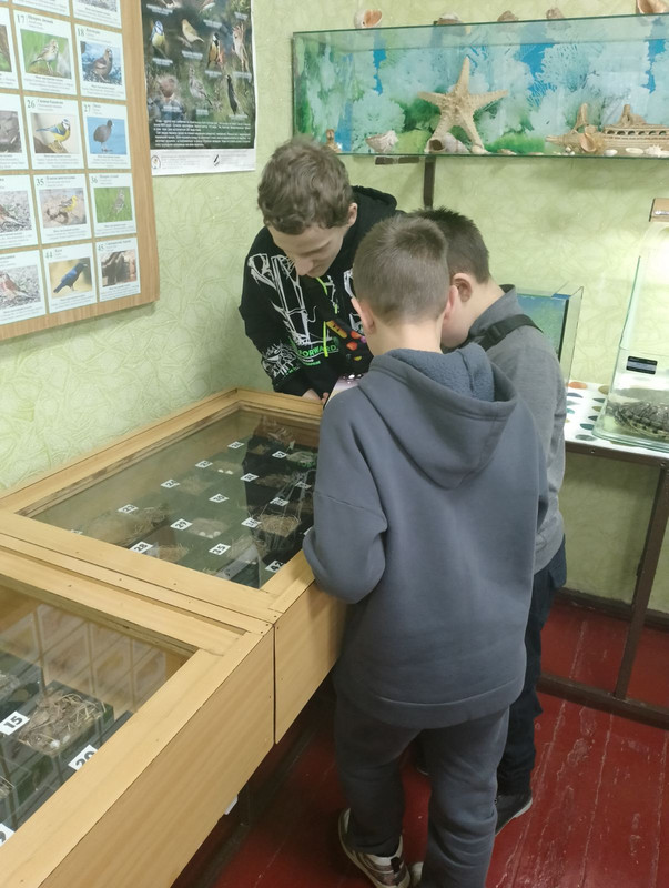 изображение_viber_2024-02-06_10-38-47-095