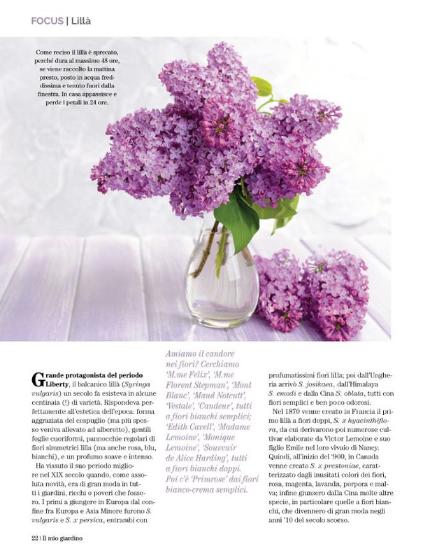 Il Mio Giar Apr-Mag 2022 (4)