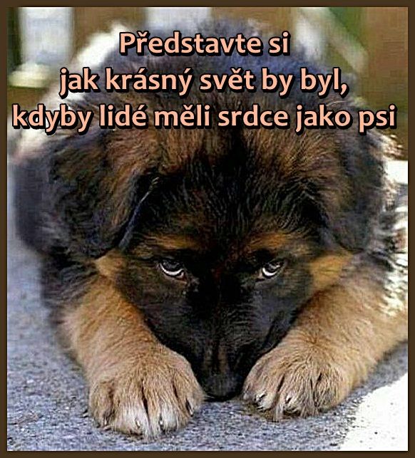 904d12ee7f52422072f42fd974d4abe5