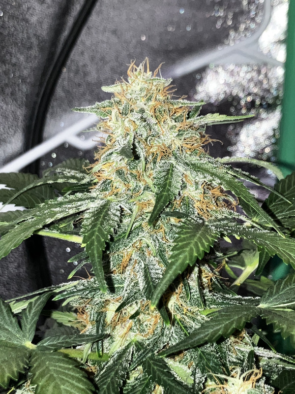 4F69B151-C541-47B3-BF92-16DE609376AC