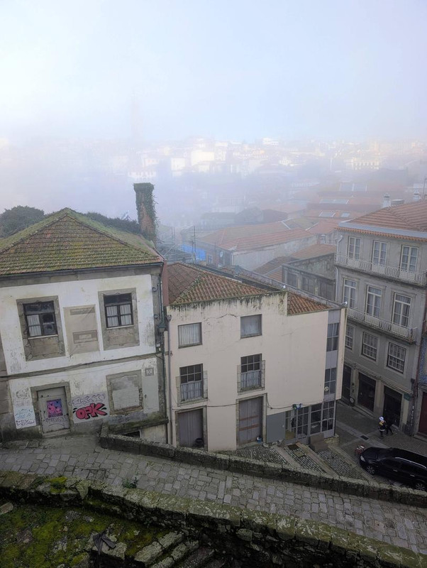 645252649 25574959325537030 3644826098717023700 n