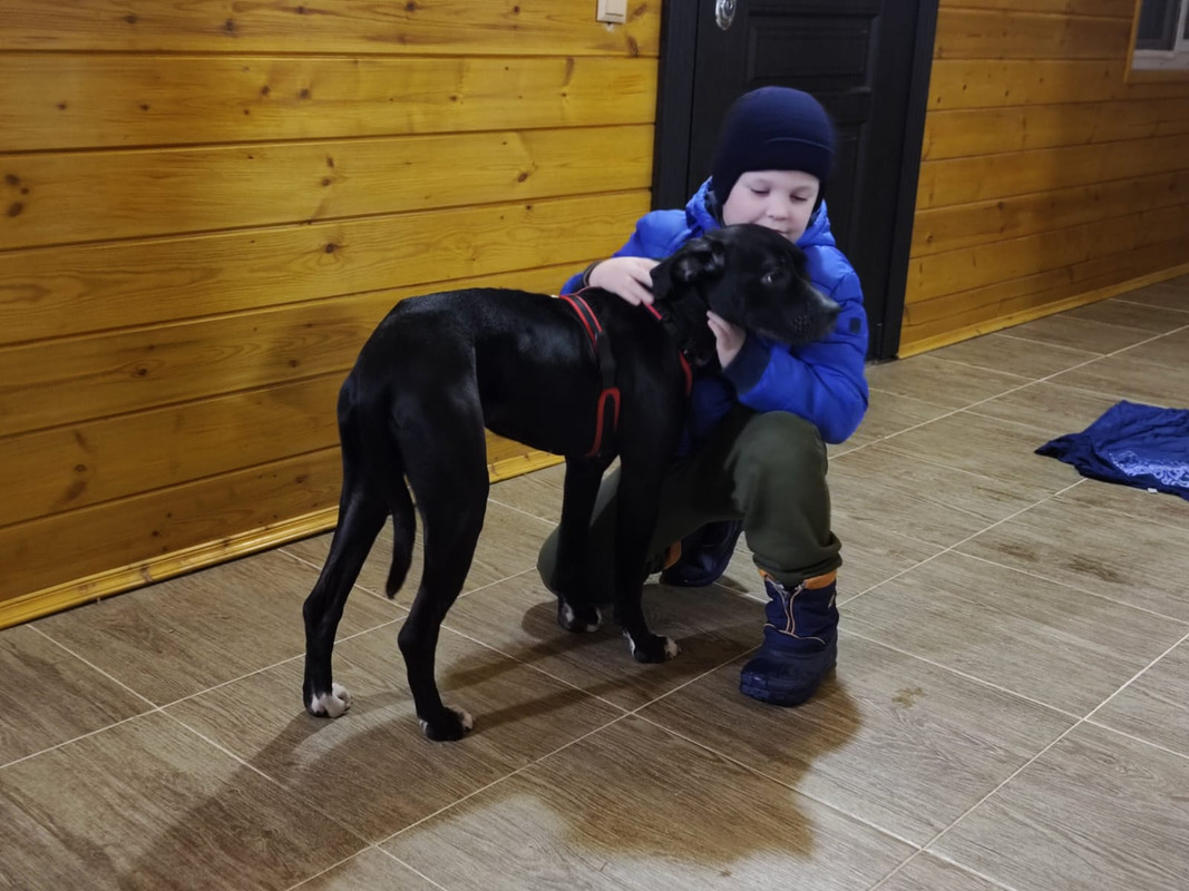 1354562A-0C3C-4D8A-B747-6F1EADFC2FA5