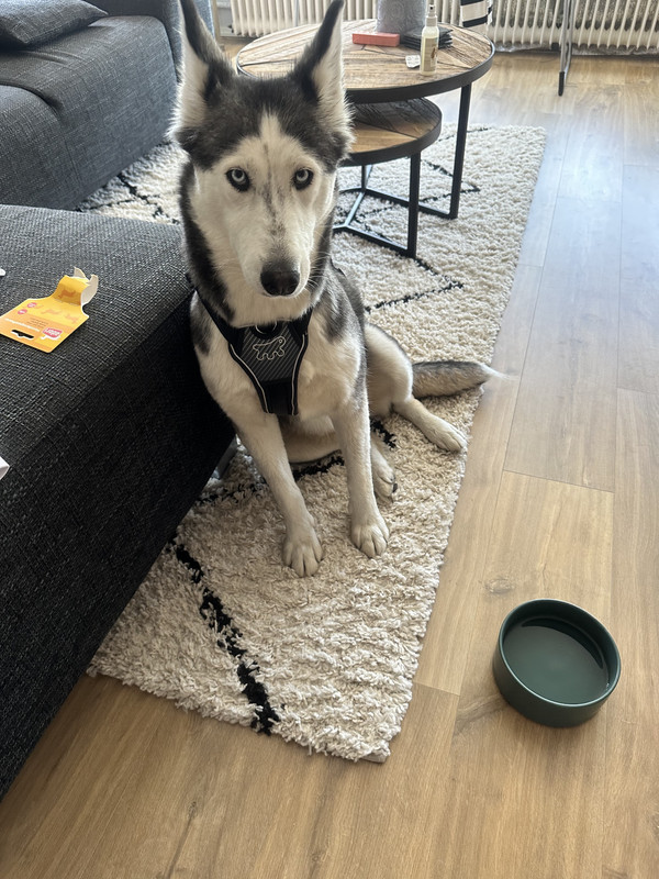 32357610-8C8D-4138-839B-510E8FFF49AF