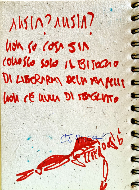 IMG-2305