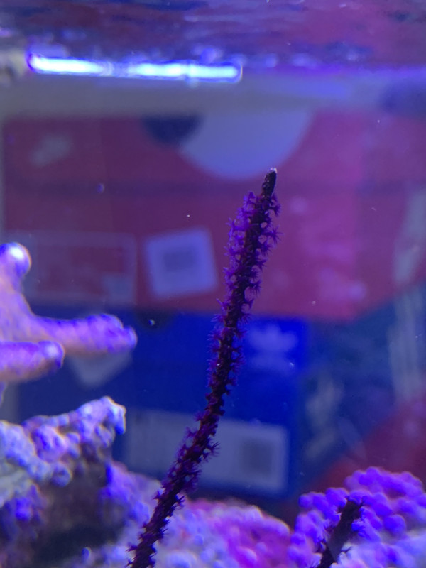 E15821A8-185C-463D-819E-697B33A0945F