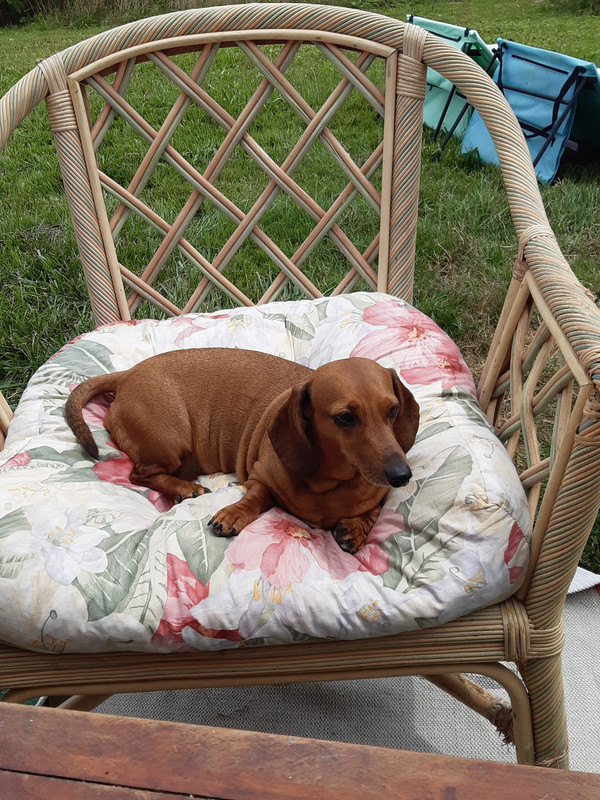 [Image: 20220709-134550.jpg]