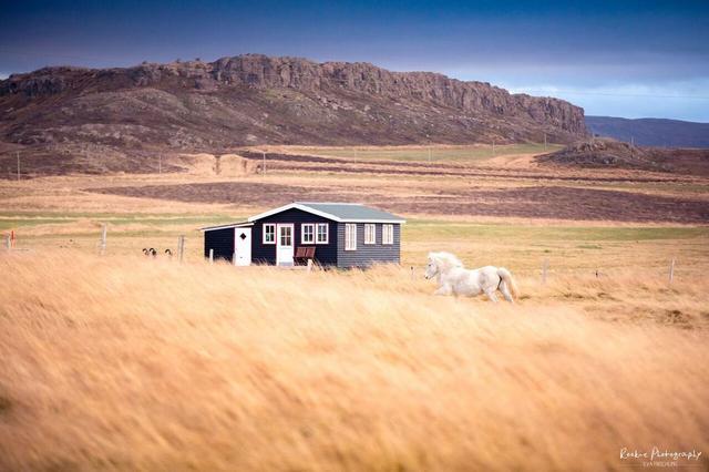 ISLANDIA en 11 DÍAS con 4x4 - Agosto 2016 - Blogs of Iceland - Los alojamientos (7)