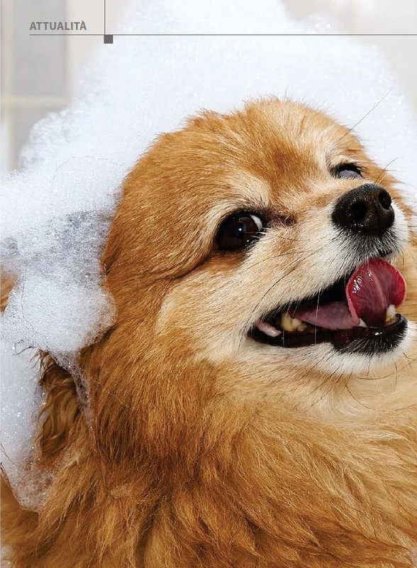 Il M C Ott-Nov 2023 (3)