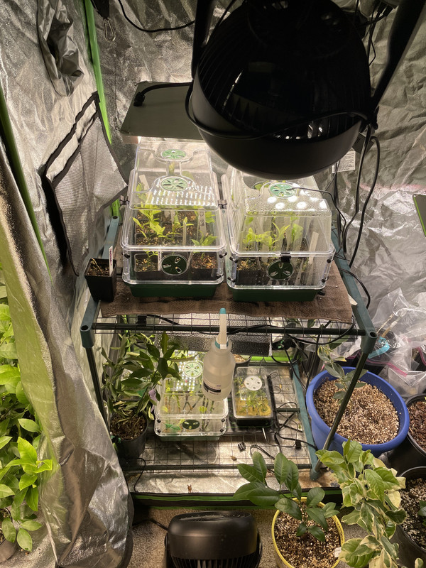 2EC127CC-F340-4437-991E-05D39718BC17