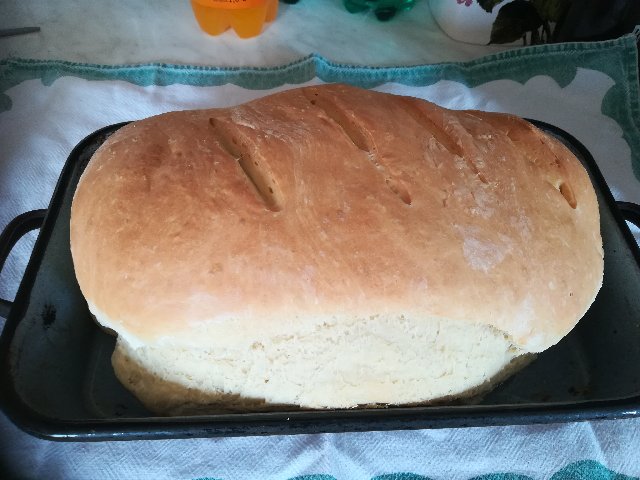 Slika