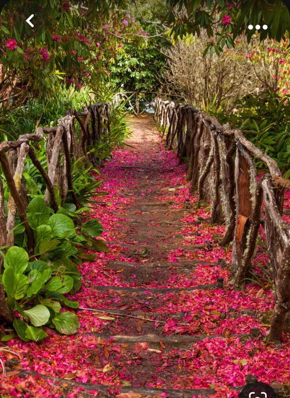 Screenshot_20231012_214719_Pinterest