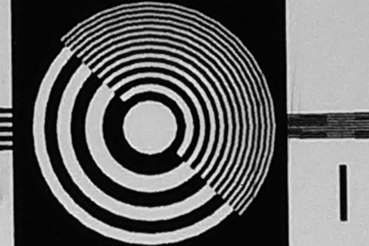 CROP 10X DSC05804 (2)