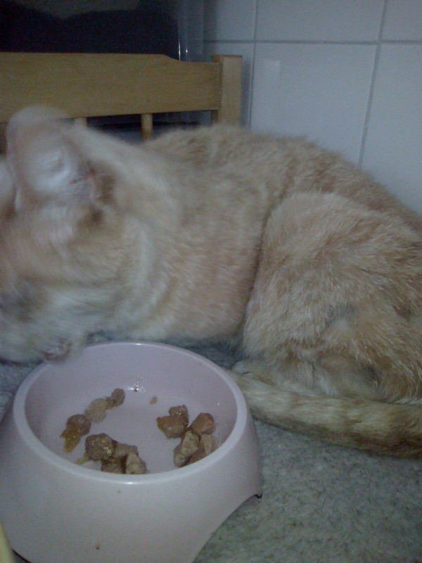 Злата в начале жизни у нас (5)