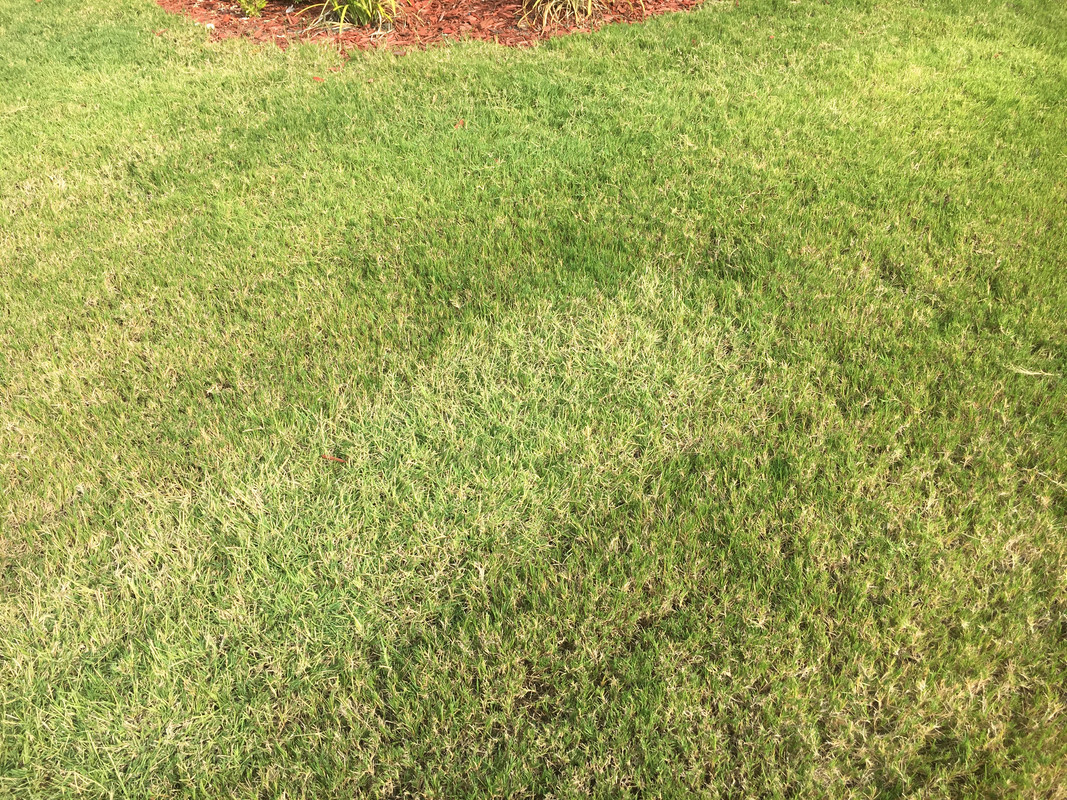 20170723_141908642_iOS