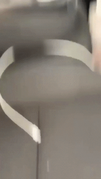 daily-gifdump-3393-23.gif