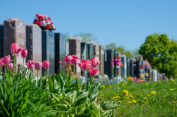 aligned headstones in cemetary