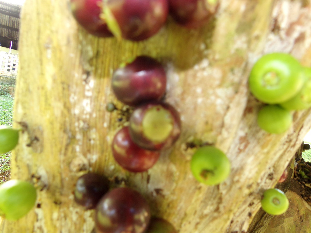 WhatsApp Image 2020-12-20 at 00.58.58 (14)