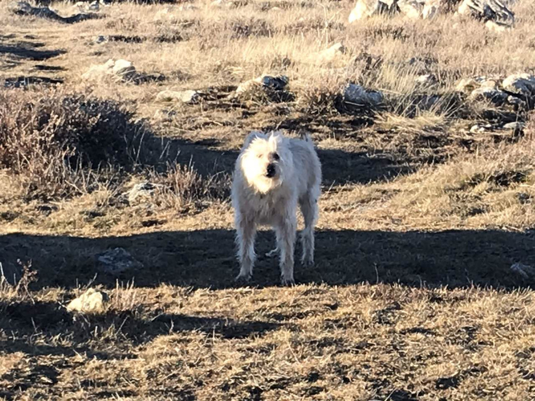 76B798BF-1348-429F-B169-9B9DFEF80F5D