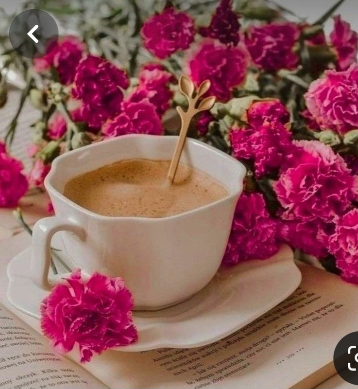 Screenshot_20240404_221140_Pinterest