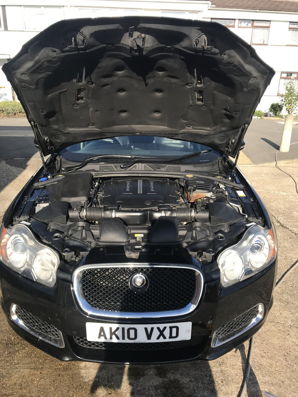 2710A399-1DD0-46E2-AD57-2FB964085375