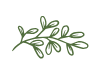 Feuille Glorabio