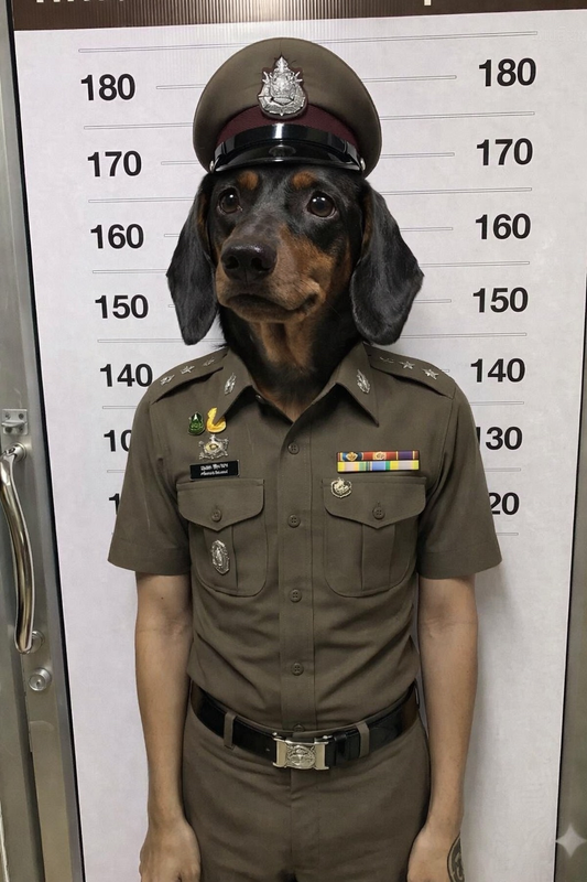 5280E45D 7874 43FD 92C5 A73756738A04